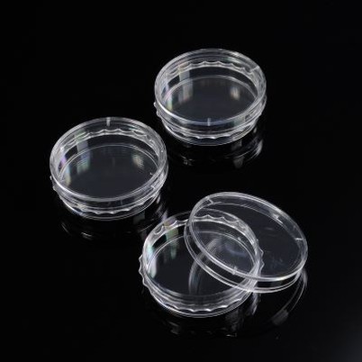 Hujayra madaniyati idishlari - sirtni davolash-steril-DNaz, RNaz va insonning DNKsi-pirogen bo'lmagan